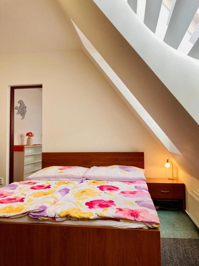 Vyškov Apartmany, Penzion, Wellness U Zlate Rybky מראה חיצוני תמונה