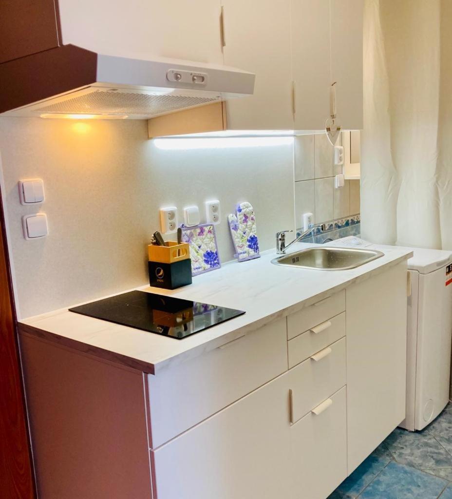Vyškov Apartmany, Penzion, Wellness U Zlate Rybky מראה חיצוני תמונה