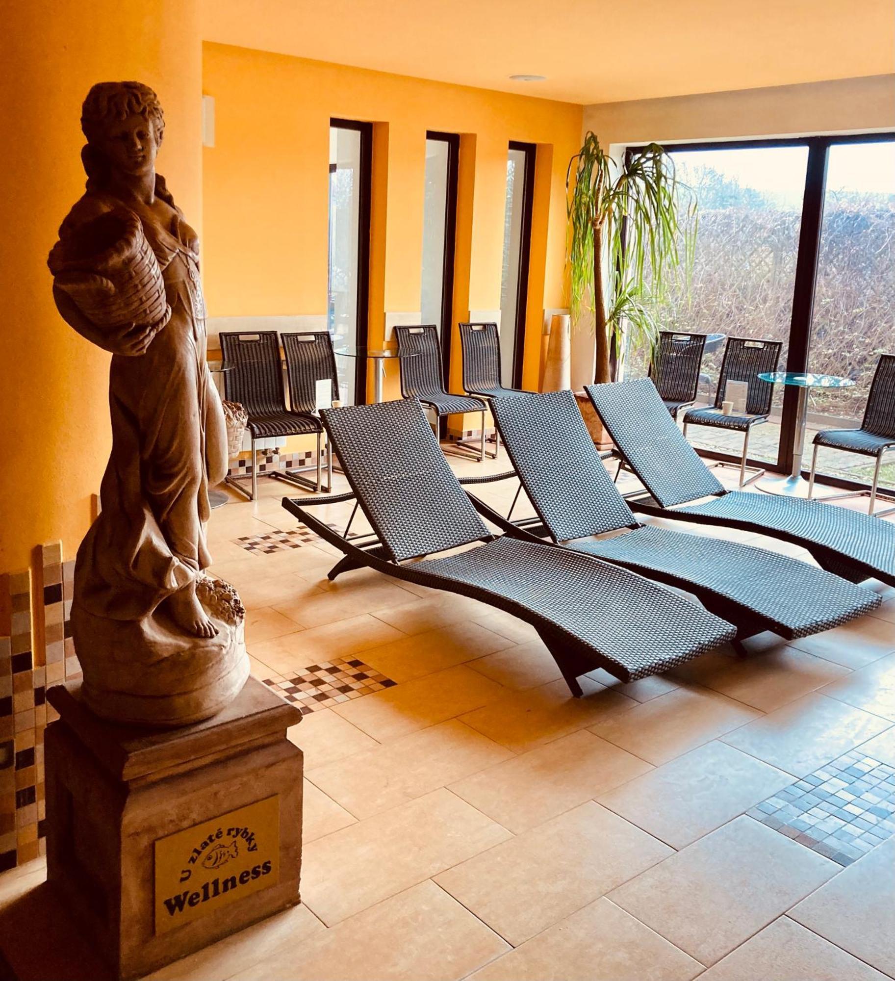 Vyškov Apartmany, Penzion, Wellness U Zlate Rybky מראה חיצוני תמונה