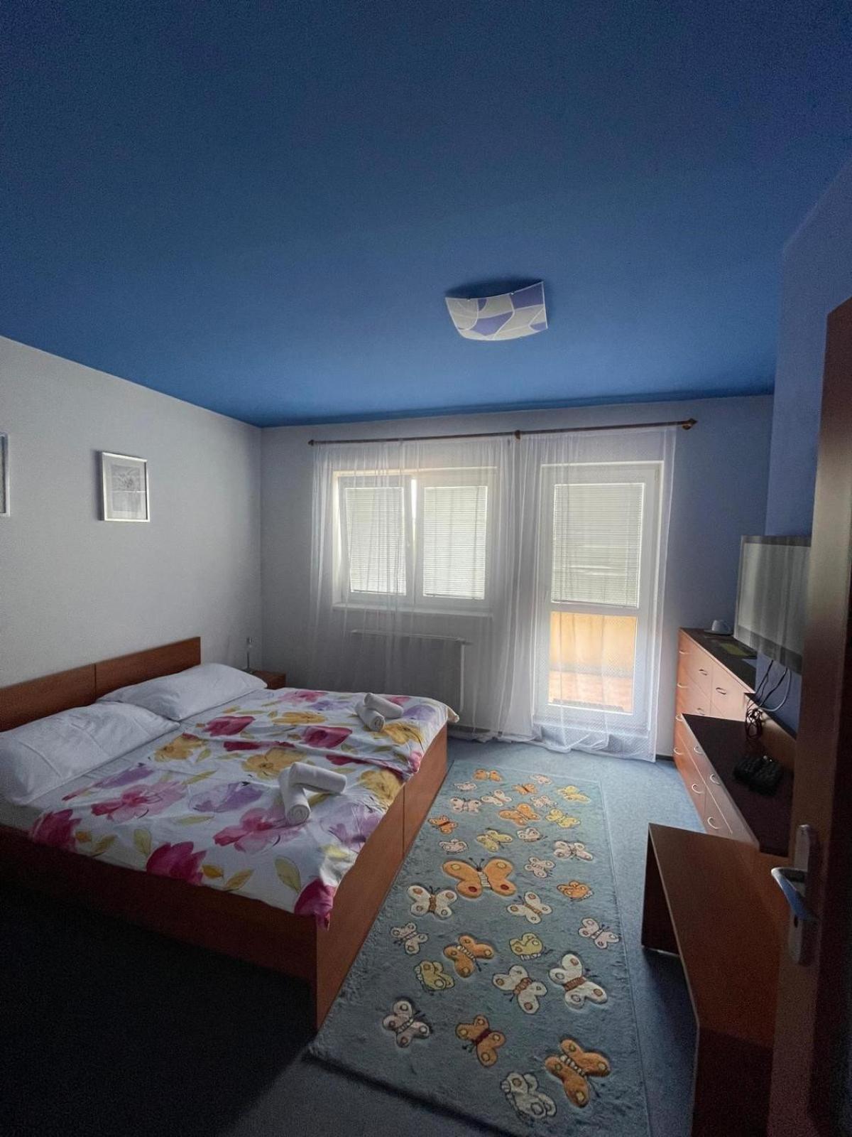 Vyškov Apartmany, Penzion, Wellness U Zlate Rybky מראה חיצוני תמונה