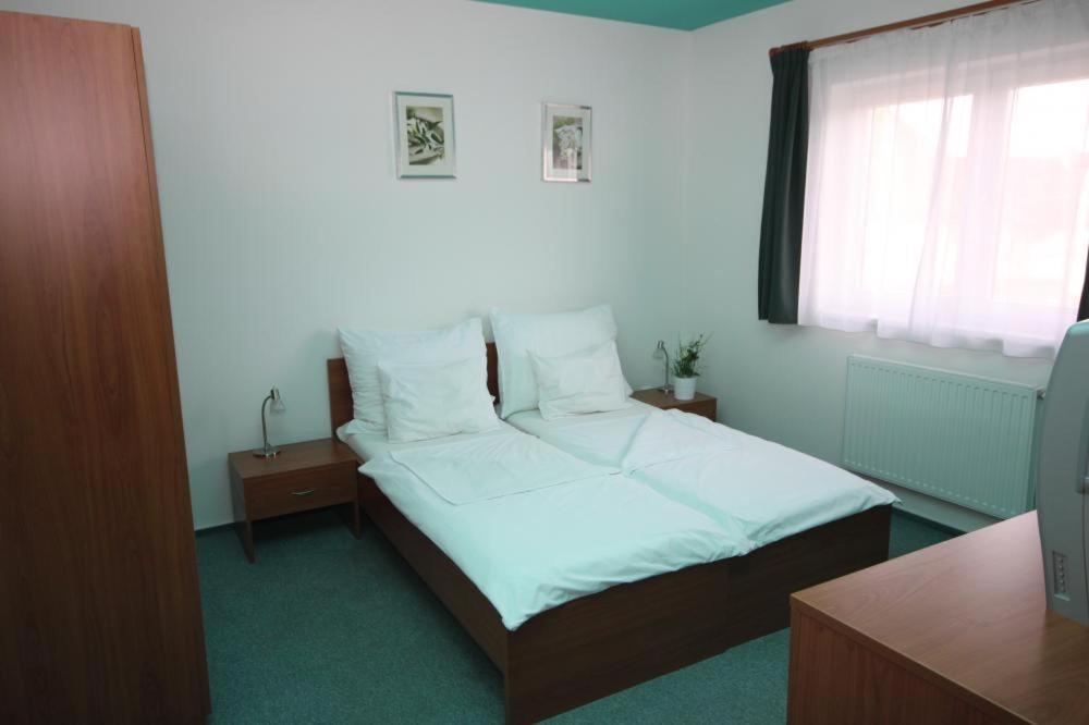Vyškov Apartmany, Penzion, Wellness U Zlate Rybky מראה חיצוני תמונה