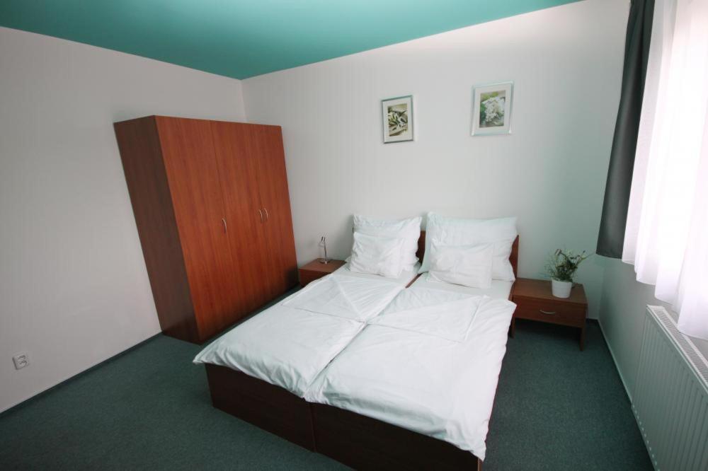 Vyškov Apartmany, Penzion, Wellness U Zlate Rybky מראה חיצוני תמונה