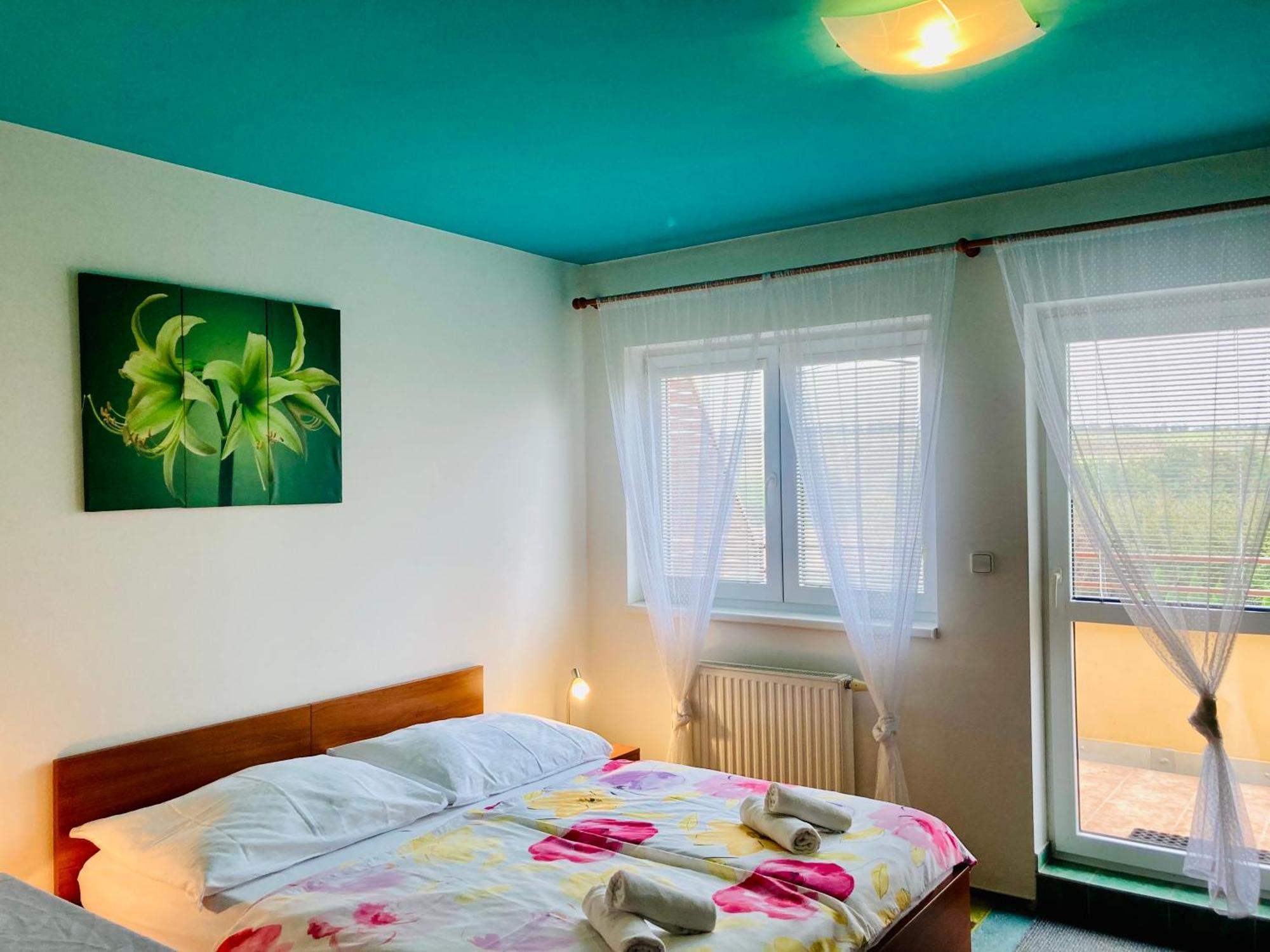 Vyškov Apartmany, Penzion, Wellness U Zlate Rybky מראה חיצוני תמונה