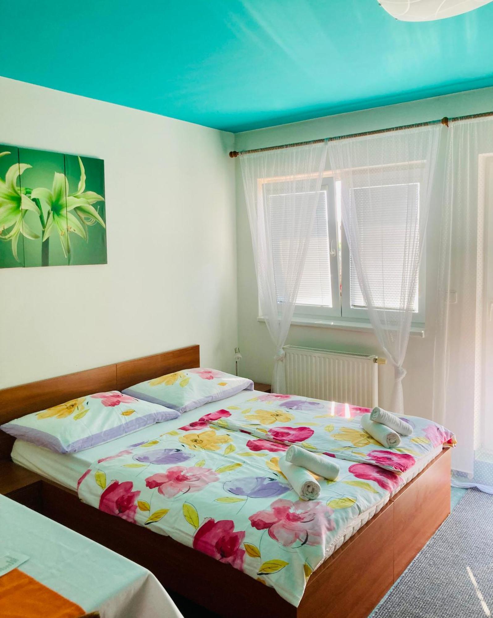 Vyškov Apartmany, Penzion, Wellness U Zlate Rybky מראה חיצוני תמונה