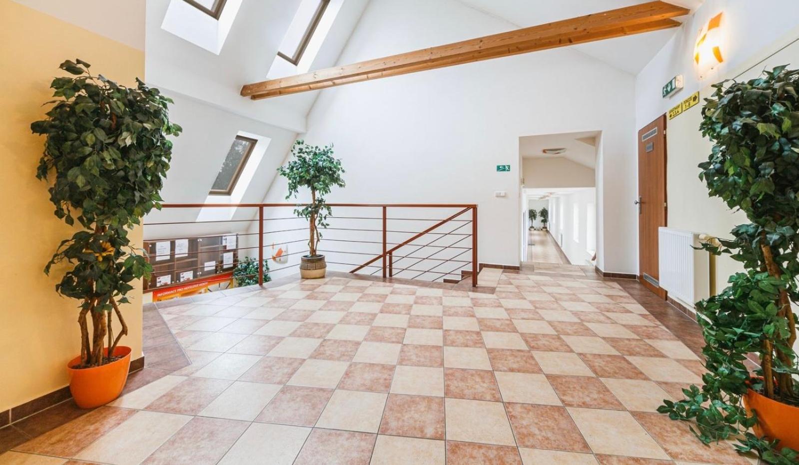 Vyškov Apartmany, Penzion, Wellness U Zlate Rybky מראה חיצוני תמונה